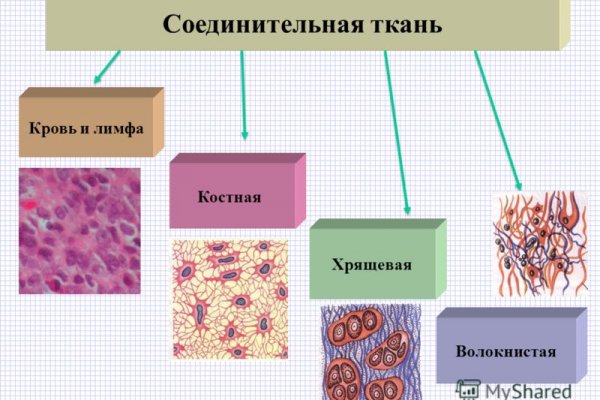 Kraken официальная ссылка