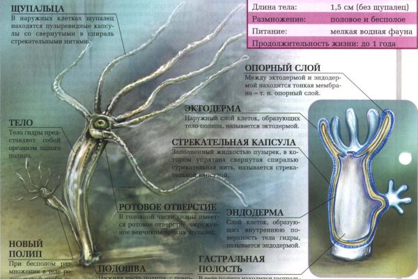 Кракен даркнет тг