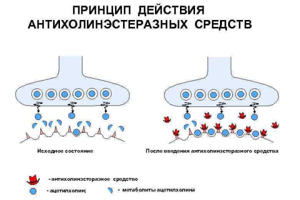 Купон кракен даркнет